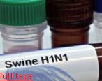 Как уберечься от гриппа А/Н1N1