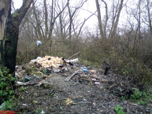 Реки на Львовщине тонут в мусоре. ФОТО