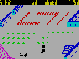 Pedro — ZX SPECTRUM GAME ИГРА